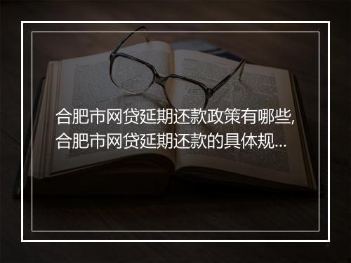 合肥市网贷延期还款政策有哪些,合肥市网贷延期还款的具体规定