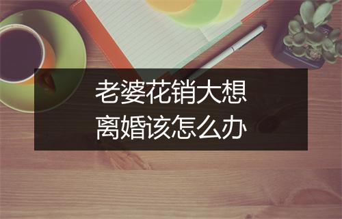 老婆花销大想离婚该怎么办
