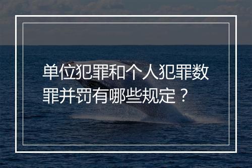 单位犯罪和个人犯罪数罪并罚有哪些规定？