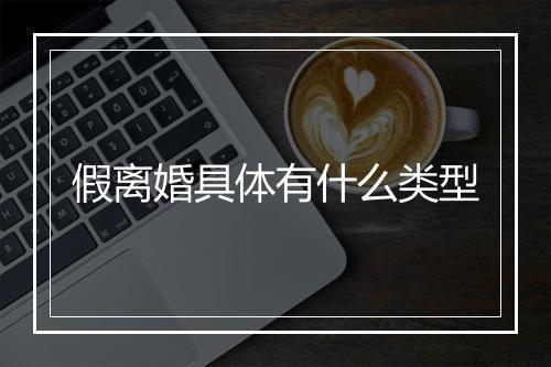 假离婚具体有什么类型