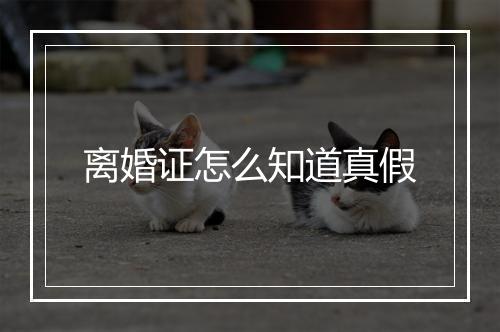 离婚证怎么知道真假
