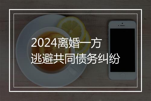 2024离婚一方逃避共同债务纠纷