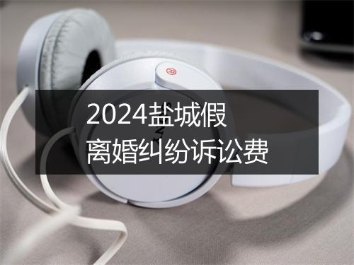 2024盐城假离婚纠纷诉讼费