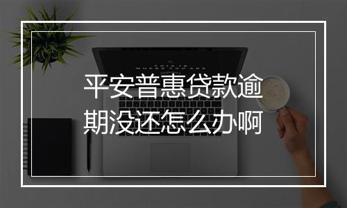 平安普惠贷款逾期没还怎么办啊