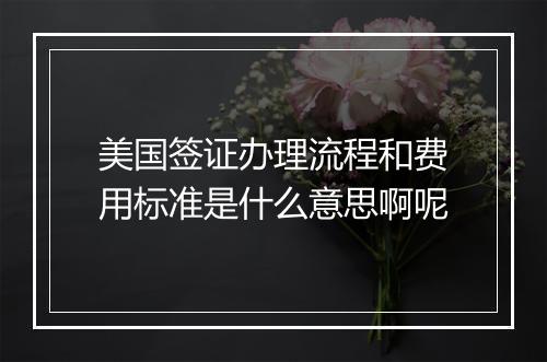 美国签证办理流程和费用标准是什么意思啊呢
