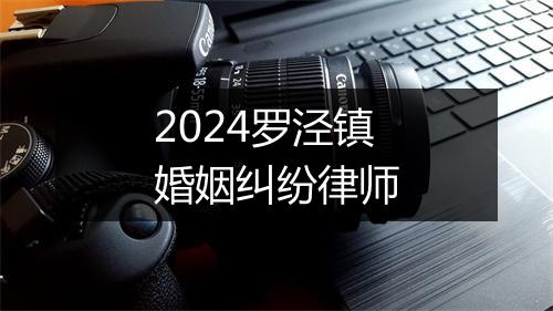 2024罗泾镇婚姻纠纷律师