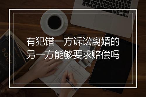 有犯错一方诉讼离婚的另一方能够要求赔偿吗