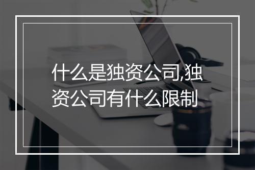 什么是独资公司,独资公司有什么限制