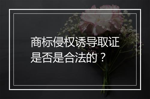 商标侵权诱导取证是否是合法的？