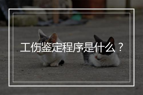 工伤鉴定程序是什么？