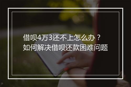 借呗4万3还不上怎么办？如何解决借呗还款困难问题