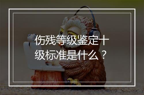 伤残等级鉴定十级标准是什么？