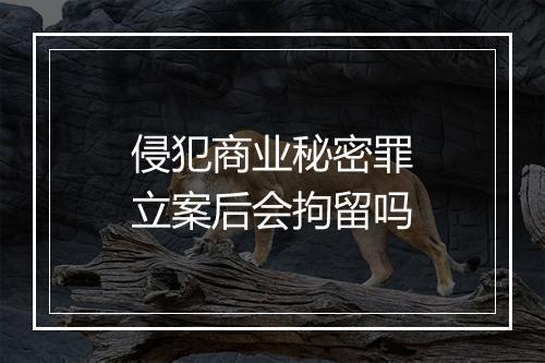 侵犯商业秘密罪立案后会拘留吗