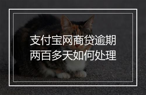 支付宝网商贷逾期两百多天如何处理