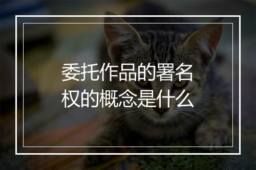 委托作品的署名权的概念是什么