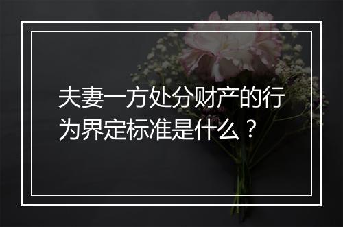 夫妻一方处分财产的行为界定标准是什么？