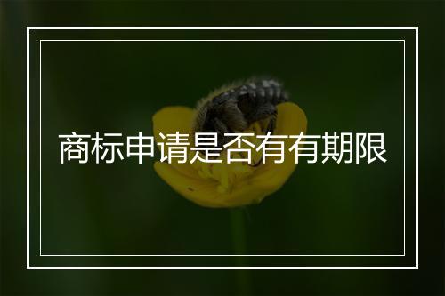 商标申请是否有有期限