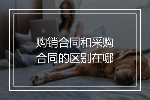 购销合同和采购合同的区别在哪