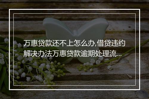 万惠贷款还不上怎么办,借贷违约解决办法万惠贷款逾期处理流程