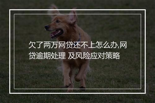 欠了两万网贷还不上怎么办,网贷逾期处理 及风险应对策略