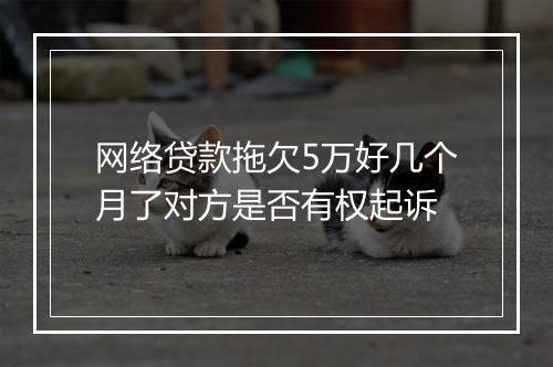 网络贷款拖欠5万好几个月了对方是否有权起诉