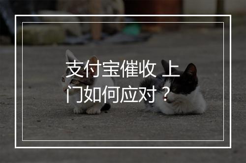 支付宝催收 上门如何应对？