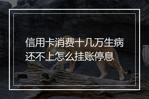 信用卡消费十几万生病还不上怎么挂账停息