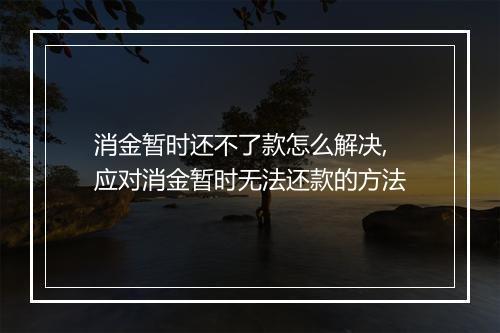 消金暂时还不了款怎么解决,应对消金暂时无法还款的方法