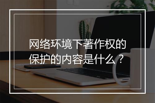 网络环境下著作权的保护的内容是什么？