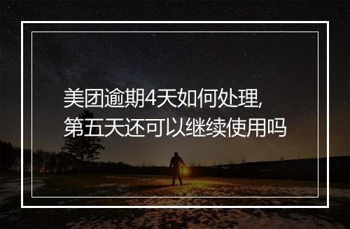 美团逾期4天如何处理,第五天还可以继续使用吗