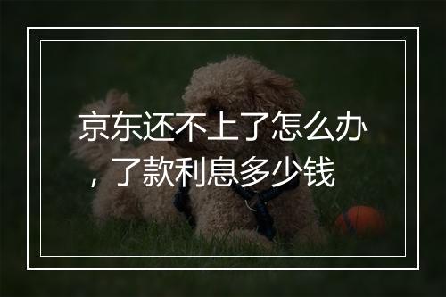 京东还不上了怎么办，了款利息多少钱