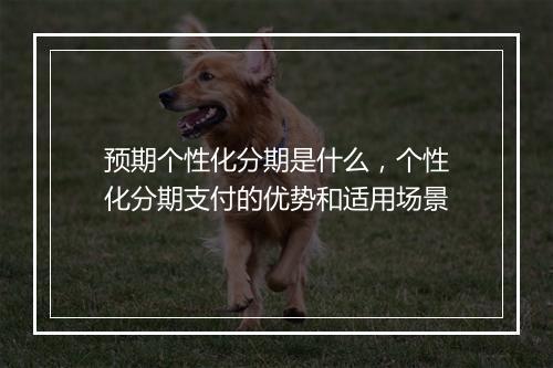 预期个性化分期是什么，个性化分期支付的优势和适用场景