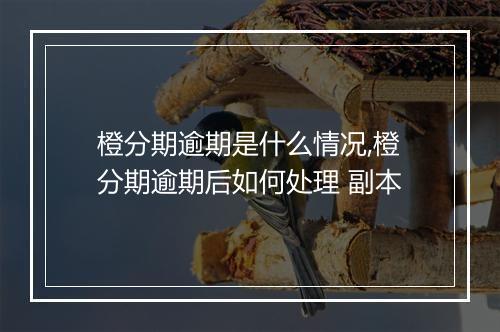 橙分期逾期是什么情况,橙分期逾期后如何处理 副本