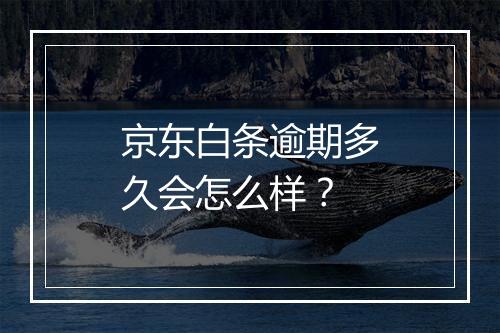 京东白条逾期多久会怎么样？
