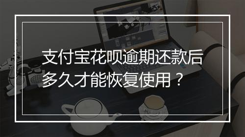 支付宝花呗逾期还款后多久才能恢复使用？