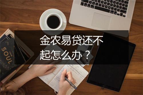 金农易贷还不起怎么办？