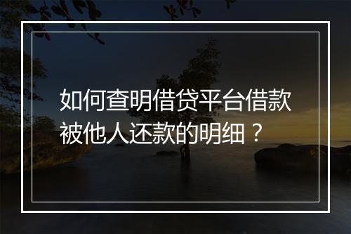 如何查明借贷平台借款被他人还款的明细？