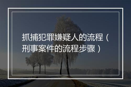 抓捕犯罪嫌疑人的流程（刑事案件的流程步骤）