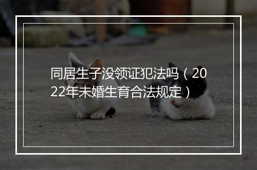 同居生子没领证犯法吗（2022年未婚生育合法规定）
