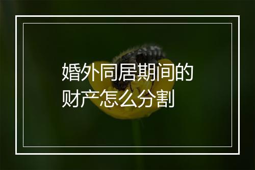 婚外同居期间的财产怎么分割