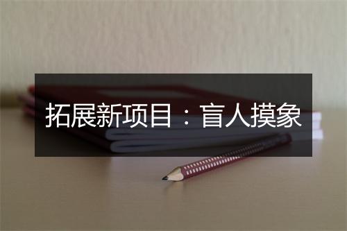 拓展新项目：盲人摸象