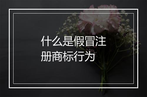 什么是假冒注册商标行为