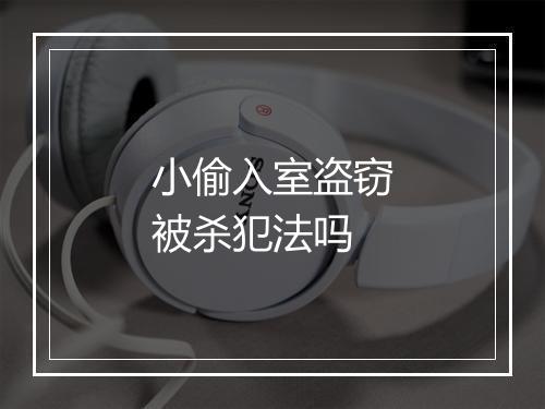 小偷入室盗窃被杀犯法吗