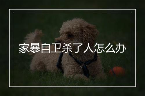 家暴自卫杀了人怎么办