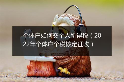 个体户如何交个人所得税（2022年个体户个税核定征收）