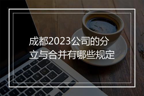 成都2023公司的分立与合并有哪些规定