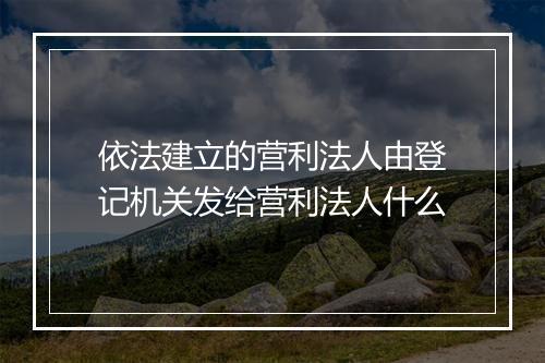 依法建立的营利法人由登记机关发给营利法人什么