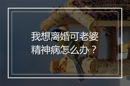 我想离婚可老婆精神病怎么办？