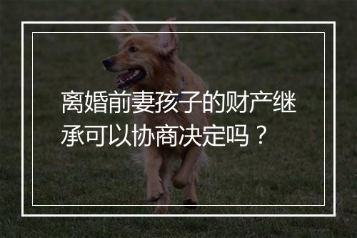 离婚前妻孩子的财产继承可以协商决定吗？