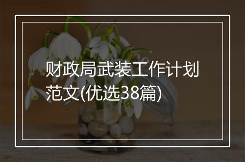 财政局武装工作计划范文(优选38篇)